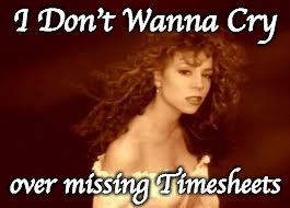 Mariah Carey Timesheet Reminder | I Don't Wanna Cry; over missing Timesheets | image tagged in mariah carey timesheet reminder,timesheet reminder,timesheet meme,diva timesheet reminder,diva timesheet meme | made w/ Imgflip meme maker