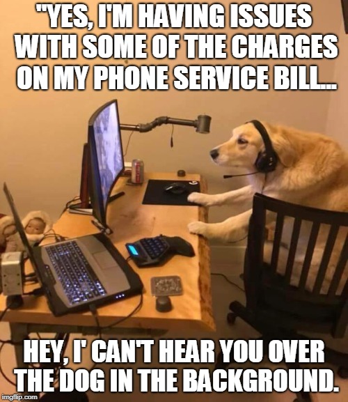 Dog Customer Service | "YES, I'M HAVING ISSUES WITH SOME OF THE CHARGES ON MY PHONE SERVICE BILL... HEY, I' CAN'T HEAR YOU OVER THE DOG IN THE BACKGROUND. | image tagged in dogs,funny,cell phones,bills,customer service | made w/ Imgflip meme maker
