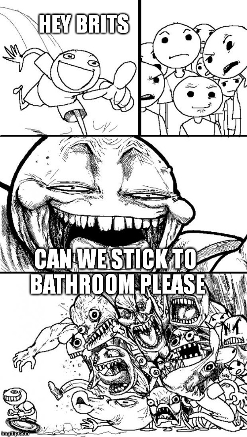 Hey Internet Meme | HEY BRITS CAN WE STICK TO   BATHROOM PLEASE | image tagged in memes,hey internet | made w/ Imgflip meme maker