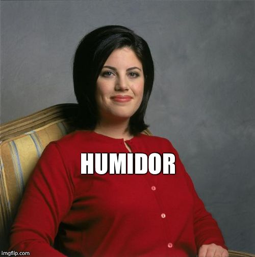 Monica Lewinsky  | HUMIDOR | image tagged in monica lewinsky | made w/ Imgflip meme maker