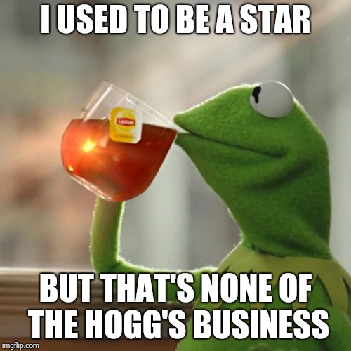 I USED TO BE A STAR BUT THAT'S NONE OF THE HOGG'S BUSINESS | image tagged in memes,but thats none of my business,kermit the frog | made w/ Imgflip meme maker