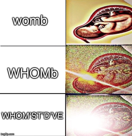 WHOM’ST’D’VE | womb; WHOMb; WHOM’ST’D’VE | image tagged in womb,whomstdve | made w/ Imgflip meme maker