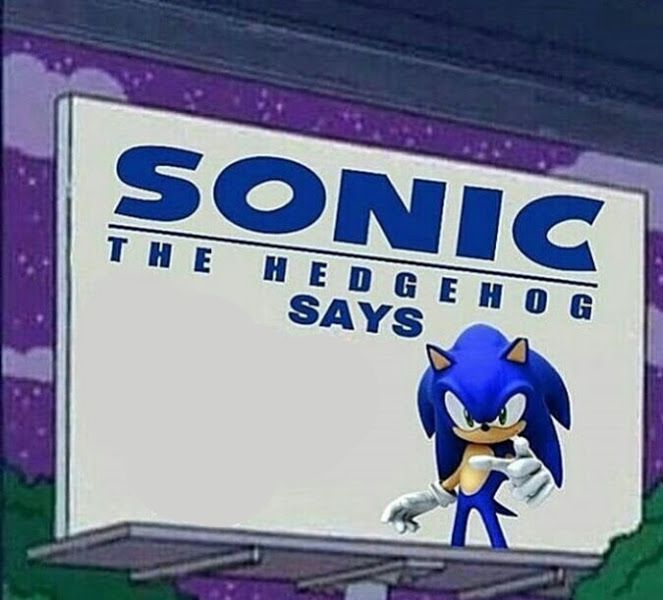 Sanic Sez Blank Meme Template