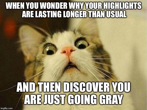 Scared Cat Meme | WHEN YOU WONDER WHY YOUR HIGHLIGHTS ARE LASTING LONGER THAN USUAL; AND THEN DISCOVER YOU ARE JUST GOING GRAY | image tagged in memes,scared cat | made w/ Imgflip meme maker