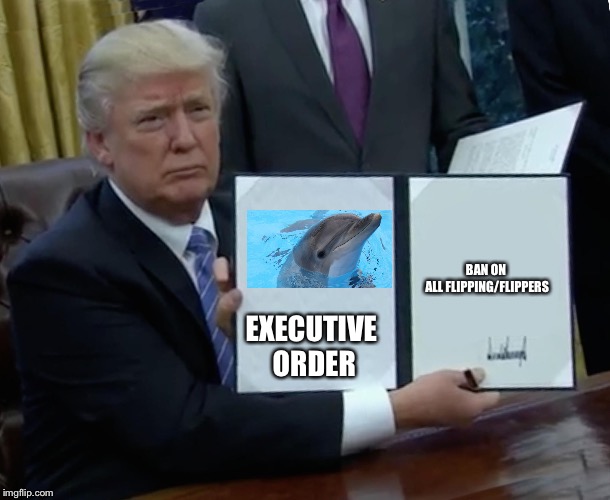 Trump Bill Signing | BAN ON ALL FLIPPING/FLIPPERS; EXECUTIVE ORDER | image tagged in memes,trump bill signing | made w/ Imgflip meme maker