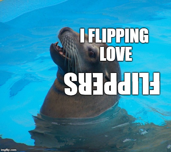 Flippers keeps us safe | I FLIPPING LOVE; FLIPPERS | image tagged in politics,political meme,political memes,profile picture,funny | made w/ Imgflip meme maker