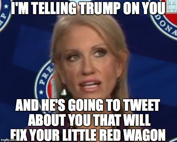 Kelly Anne Conway | I'M TELLING TRUMP ON YOU AND HE'S GOING TO TWEET ABOUT YOU THAT WILL FIX YOUR LITTLE RED WAGON | image tagged in kelly anne conway | made w/ Imgflip meme maker