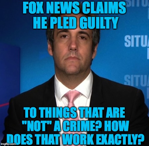 michael cohen | FOX NEWS CLAIMS HE PLED GUILTY TO THINGS THAT ARE "NOT" A CRIME? HOW DOES THAT WORK EXACTLY? | image tagged in michael cohen | made w/ Imgflip meme maker