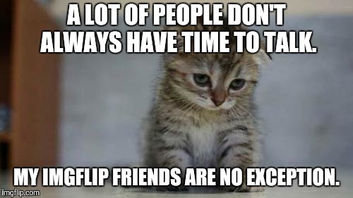 Sad kitten | A LOT OF PEOPLE DON'T ALWAYS HAVE TIME TO TALK. MY IMGFLIP FRIENDS ARE NO EXCEPTION. | image tagged in sad kitten | made w/ Imgflip meme maker