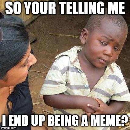 Third World Skeptical Kid Meme | SO YOUR TELLING ME; I END UP BEING A MEME? | image tagged in memes,third world skeptical kid | made w/ Imgflip meme maker