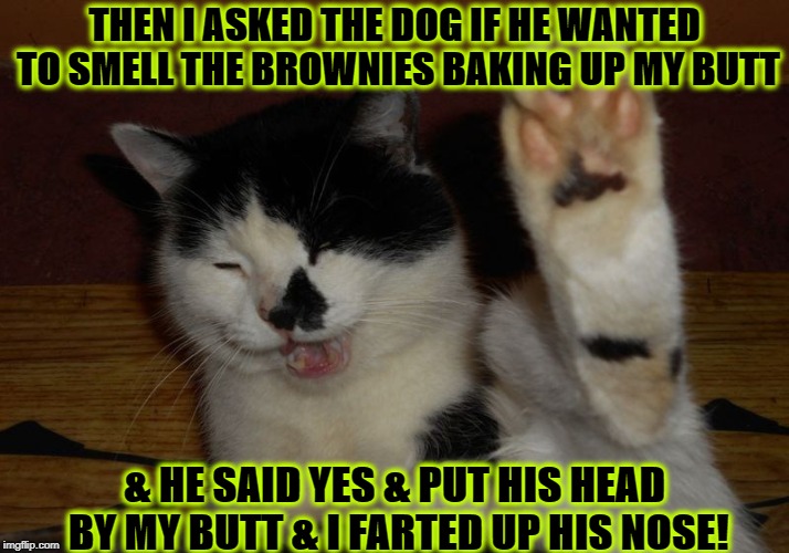 THEN I ASKED THE DOG IF HE WANTED TO SMELL THE BROWNIES BAKING UP MY BUTT; & HE SAID YES & PUT HIS HEAD BY MY BUTT & I FARTED UP HIS NOSE! | image tagged in prankster | made w/ Imgflip meme maker