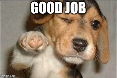 good job dog | GOOD JOB | image tagged in good job dog | made w/ Imgflip meme maker