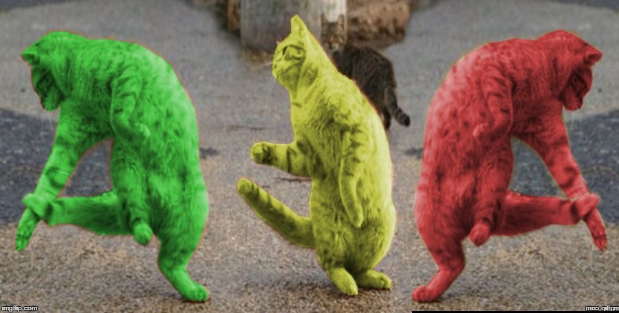 Three Dancing RayCats | :) | image tagged in three dancing raycats | made w/ Imgflip meme maker