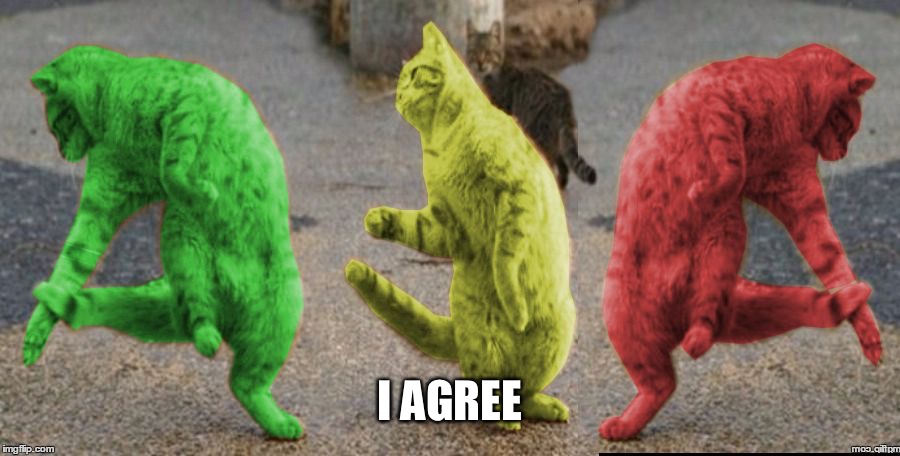Three Dancing RayCats | I AGREE | image tagged in three dancing raycats | made w/ Imgflip meme maker