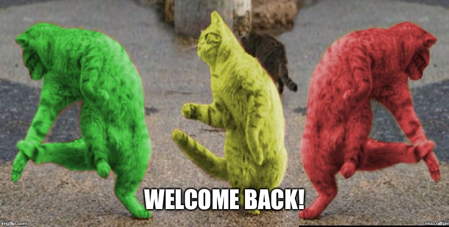 Three Dancing RayCats | WELCOME BACK! | image tagged in three dancing raycats | made w/ Imgflip meme maker