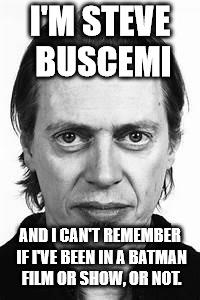 Steve Buscemi | I'M STEVE BUSCEMI AND I CAN'T REMEMBER IF I'VE BEEN IN A BATMAN FILM OR SHOW, OR NOT. | image tagged in steve buscemi | made w/ Imgflip meme maker
