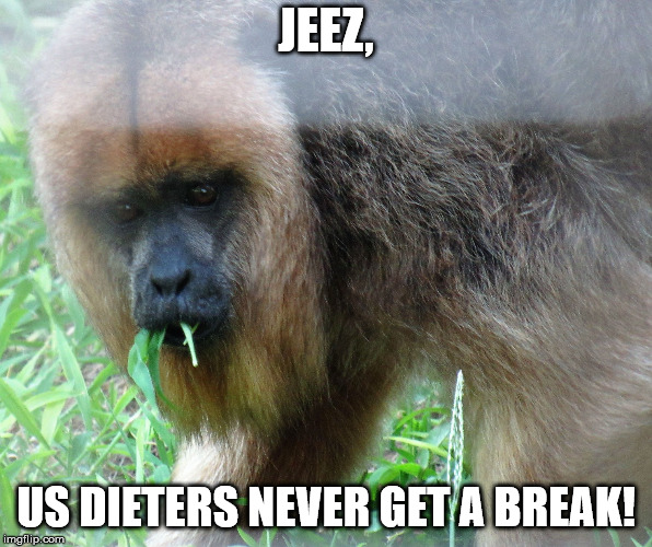 salad eating monkey | JEEZ, US DIETERS NEVER GET A BREAK! | image tagged in salad eating monkey | made w/ Imgflip meme maker