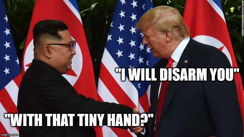 Trump and Kim Jung Un | "I WILL DISARM YOU" "WITH THAT TINY HAND?" | image tagged in trump and kim jung un | made w/ Imgflip meme maker