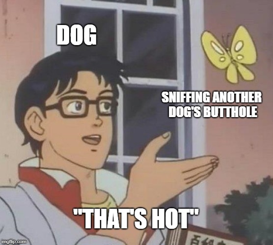 Is This A Pigeon Meme | DOG; SNIFFING ANOTHER DOG'S BUTTHOLE; "THAT'S HOT" | image tagged in memes,is this a pigeon | made w/ Imgflip meme maker