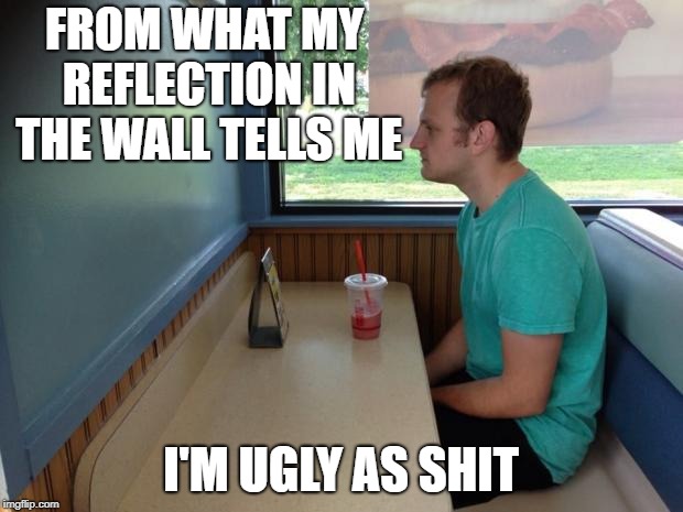 Forever Alone Booth | FROM WHAT MY REFLECTION IN THE WALL TELLS ME; I'M UGLY AS SHIT | image tagged in forever alone booth | made w/ Imgflip meme maker