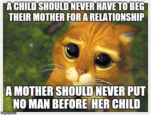Shrek Cat | A CHILD SHOULD NEVER HAVE TO BEG  THEIR MOTHER FOR A RELATIONSHIP; A MOTHER SHOULD NEVER PUT NO MAN BEFORE  HER CHILD | image tagged in memes,shrek cat | made w/ Imgflip meme maker