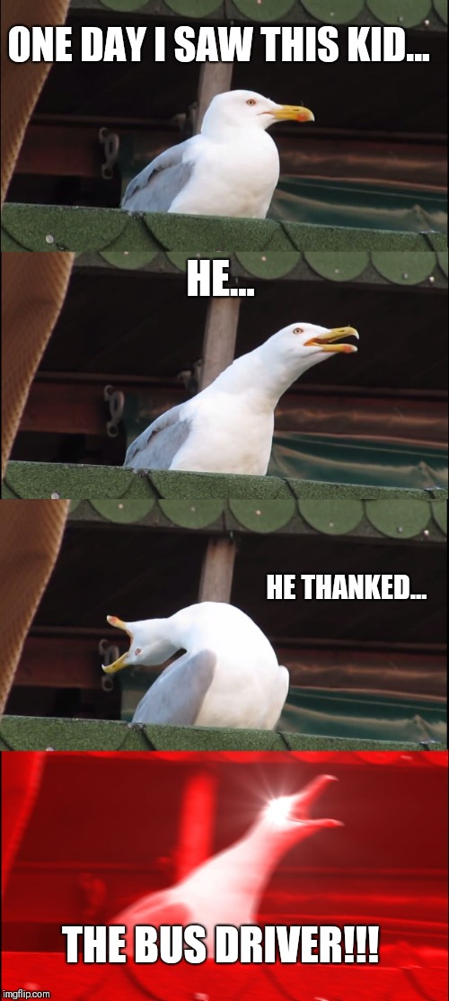 Be nice don't think twice  | ONE DAY I SAW THIS KID... HE... HE THANKED... THE BUS DRIVER!!! | image tagged in memes,inhaling seagull | made w/ Imgflip meme maker