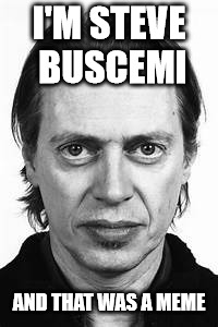 Steve Buscemi | I'M STEVE BUSCEMI AND THAT WAS A MEME | image tagged in steve buscemi | made w/ Imgflip meme maker
