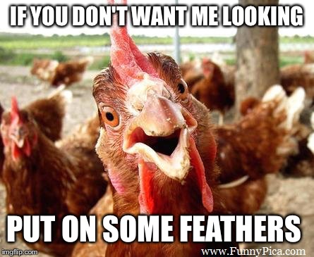 Funny looking rooster insisting his point | IF YOU DON'T WANT ME LOOKING PUT ON SOME FEATHERS | image tagged in funny looking rooster insisting his point | made w/ Imgflip meme maker
