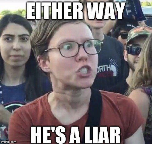 Triggered feminist | EITHER WAY HE'S A LIAR | image tagged in triggered feminist | made w/ Imgflip meme maker
