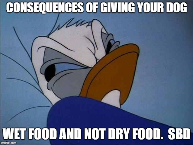 Angry Donald |  CONSEQUENCES OF GIVING YOUR DOG; WET FOOD AND NOT DRY FOOD.  SBD | image tagged in angry donald | made w/ Imgflip meme maker