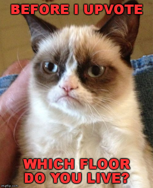 Grumpy Cat Meme | BEFORE I UPVOTE WHICH FLOOR DO YOU LIVE? | image tagged in memes,grumpy cat | made w/ Imgflip meme maker