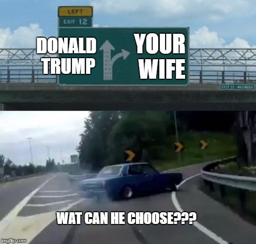 Left Exit 12 Off Ramp | DONALD TRUMP; YOUR WIFE; WAT CAN HE CHOOSE??? | image tagged in memes,left exit 12 off ramp | made w/ Imgflip meme maker