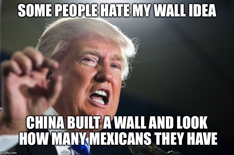 Burn | SOME PEOPLE HATE MY WALL IDEA; CHINA BUILT A WALL AND LOOK HOW MANY MEXICANS THEY HAVE | image tagged in donald trump,memes,wall | made w/ Imgflip meme maker
