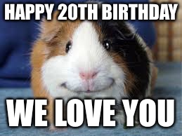happy guinea pig | HAPPY 20TH BIRTHDAY; WE LOVE YOU | image tagged in happy guinea pig | made w/ Imgflip meme maker