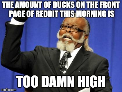 Too Damn High Meme | THE AMOUNT OF DUCKS ON THE FRONT PAGE OF REDDIT THIS MORNING IS; TOO DAMN HIGH | image tagged in memes,too damn high | made w/ Imgflip meme maker