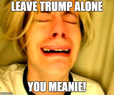 Leave Britney Alone | LEAVE TRUMP ALONE YOU MEANIE! | image tagged in leave britney alone | made w/ Imgflip meme maker