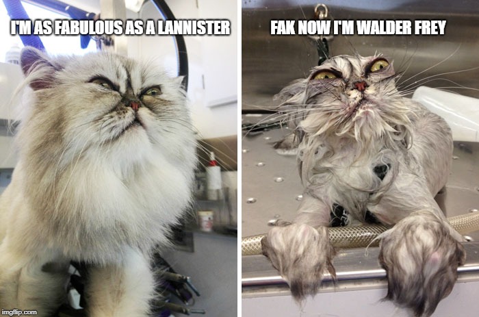 Lannister Cat |  FAK NOW I'M WALDER FREY; I'M AS FABULOUS AS A LANNISTER | image tagged in walder frey,game of thrones,got,cat,cats,ugly cat | made w/ Imgflip meme maker