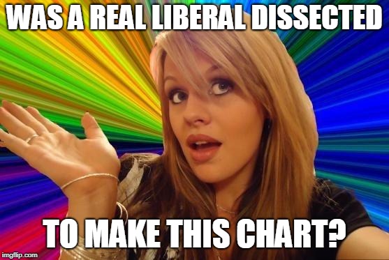 Dumb Blonde Meme | WAS A REAL LIBERAL DISSECTED TO MAKE THIS CHART? | image tagged in memes,dumb blonde | made w/ Imgflip meme maker