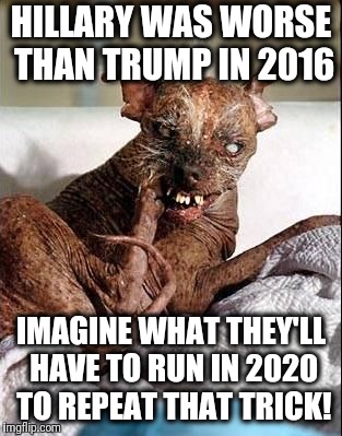 But thanks in advance for doing that... | HILLARY WAS WORSE THAN TRUMP IN 2016; IMAGINE WHAT THEY'LL HAVE TO RUN IN 2020 TO REPEAT THAT TRICK! | image tagged in memes,trump,worse than hillary,2020 | made w/ Imgflip meme maker