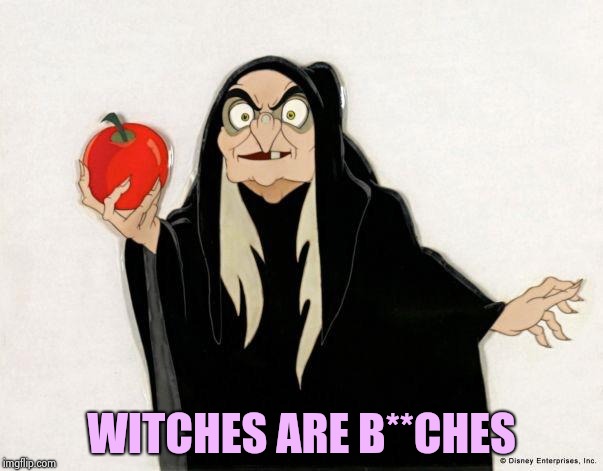 Crackhead Disney witch | WITCHES ARE B**CHES | image tagged in crackhead disney witch | made w/ Imgflip meme maker
