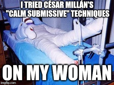 The "Dog Whisperer" can go to Hell! | I TRIED CÉSAR MILLÁN'S "CALM SUBMISSIVE" TECHNIQUES; ON MY WOMAN | image tagged in memes,csar milln,dog whisperer,woman | made w/ Imgflip meme maker