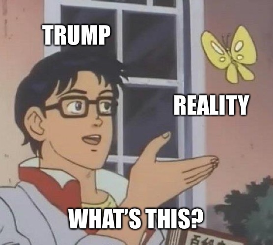 Is This A Pigeon Meme | TRUMP REALITY WHAT’S THIS? | image tagged in memes,is this a pigeon | made w/ Imgflip meme maker