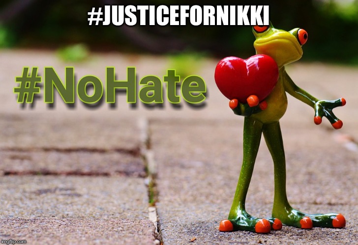 no hate frog | #JUSTICEFORNIKKI | image tagged in no hate frog | made w/ Imgflip meme maker