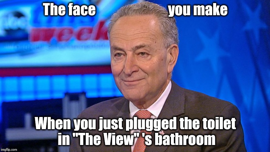 Maybe that will change their attitude |  The face                           you make; When you just plugged the toilet in "The View" 's bathroom | image tagged in chuck schumer abc news this week,the view,smells,schumer,bomb | made w/ Imgflip meme maker
