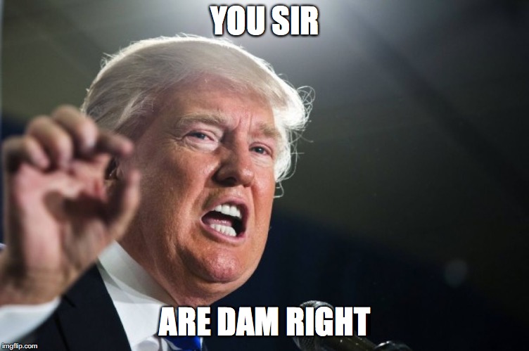 donald trump | YOU SIR; ARE DAM RIGHT | image tagged in donald trump | made w/ Imgflip meme maker