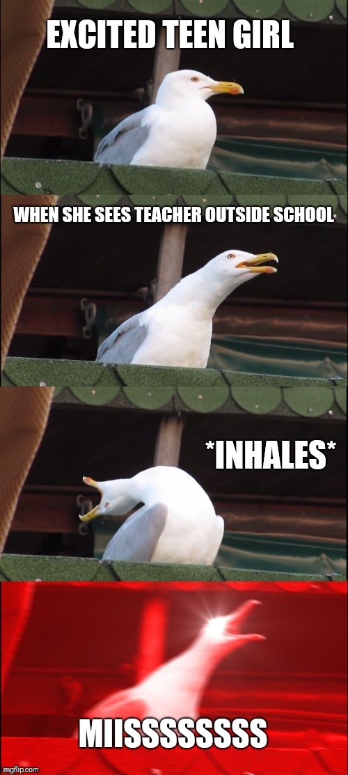 Inhaling Seagull | EXCITED TEEN GIRL; WHEN SHE SEES TEACHER OUTSIDE SCHOOL; *INHALES*; MIISSSSSSSS | image tagged in memes,inhaling seagull | made w/ Imgflip meme maker