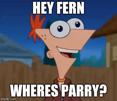 Phineas and Derp: The secquel | HEY FERN; WHERES PARRY? | image tagged in phineas and derp,funny,memes | made w/ Imgflip meme maker