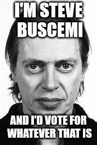 Steve Buscemi | I'M STEVE BUSCEMI AND I'D VOTE FOR WHATEVER THAT IS | image tagged in steve buscemi | made w/ Imgflip meme maker