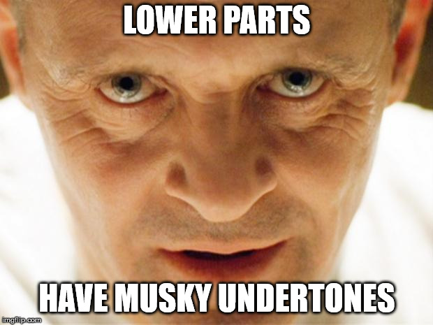 hannibal_popcorn | LOWER PARTS HAVE MUSKY UNDERTONES | image tagged in hannibal_popcorn | made w/ Imgflip meme maker