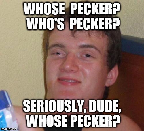 Whose Pecker | WHOSE  PECKER? WHO'S  PECKER? SERIOUSLY, DUDE, WHOSE PECKER? | image tagged in memes,10 guy,pecker | made w/ Imgflip meme maker